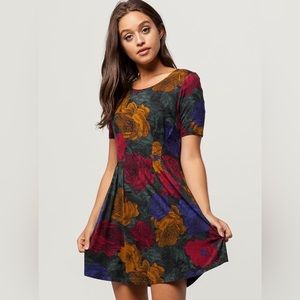 Nordstrom RVCA pacsun floral fall swing dress L large M medium mini